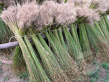 THE ORIGINS OF LINEN